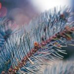 2023. aasta ülevaade ERKÜ presidendilt Mai-Liis Bartling